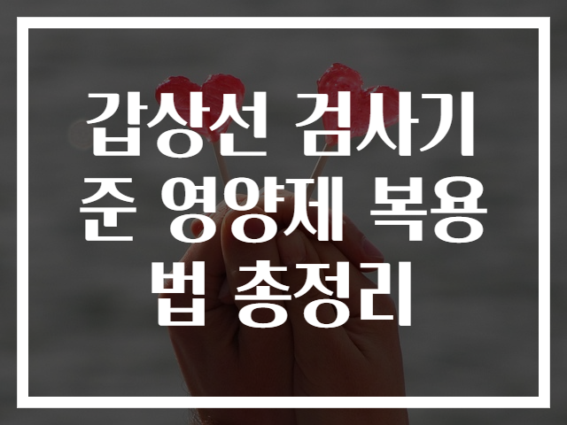 갑상선 검사기준 영양제 복용법 총정리