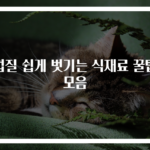 껍질 쉽게 벗기는 식재료 꿀팁 모음