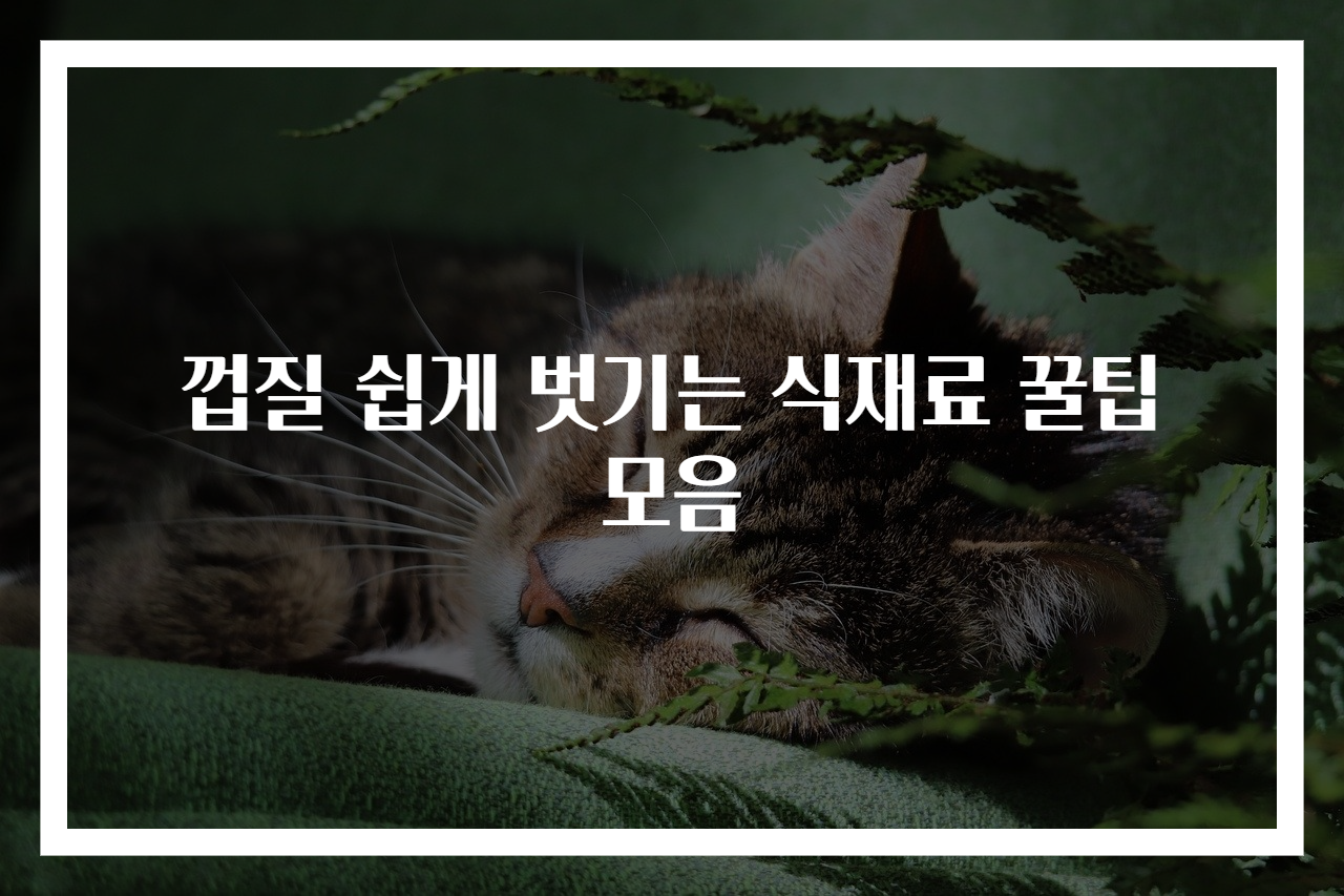 껍질 쉽게 벗기는 식재료 꿀팁 모음