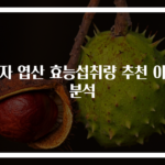 남자 엽산 효능섭취량 추천 이유 분석