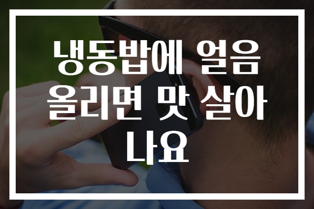 냉동밥에 얼음 올리면 맛 살아나요