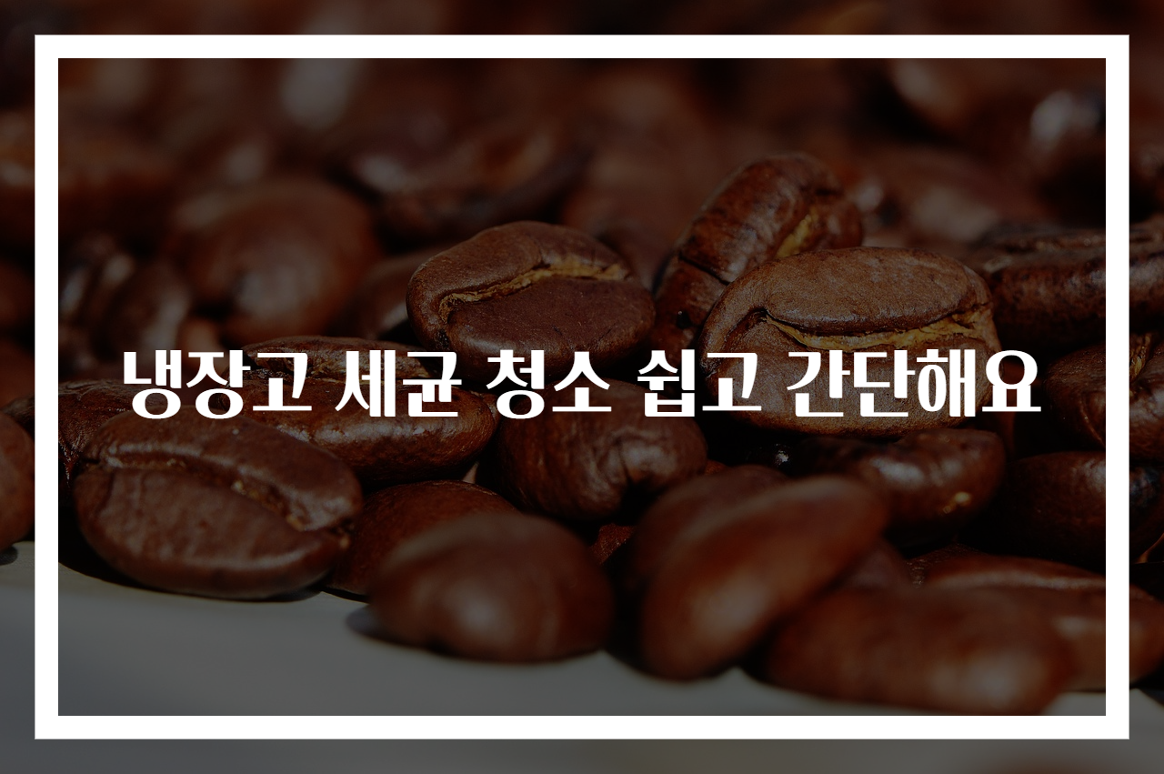 냉장고 세균 청소 쉽고 간단해요