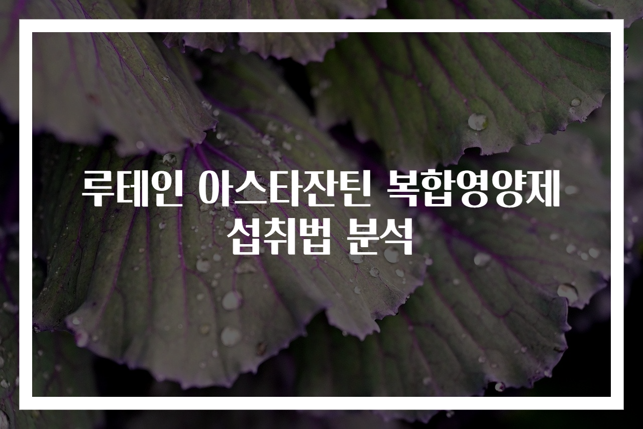 루테인 아스타잔틴 복합영양제 섭취법 분석