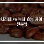 말차라떼 vs 녹차 효능 차이 완전분석