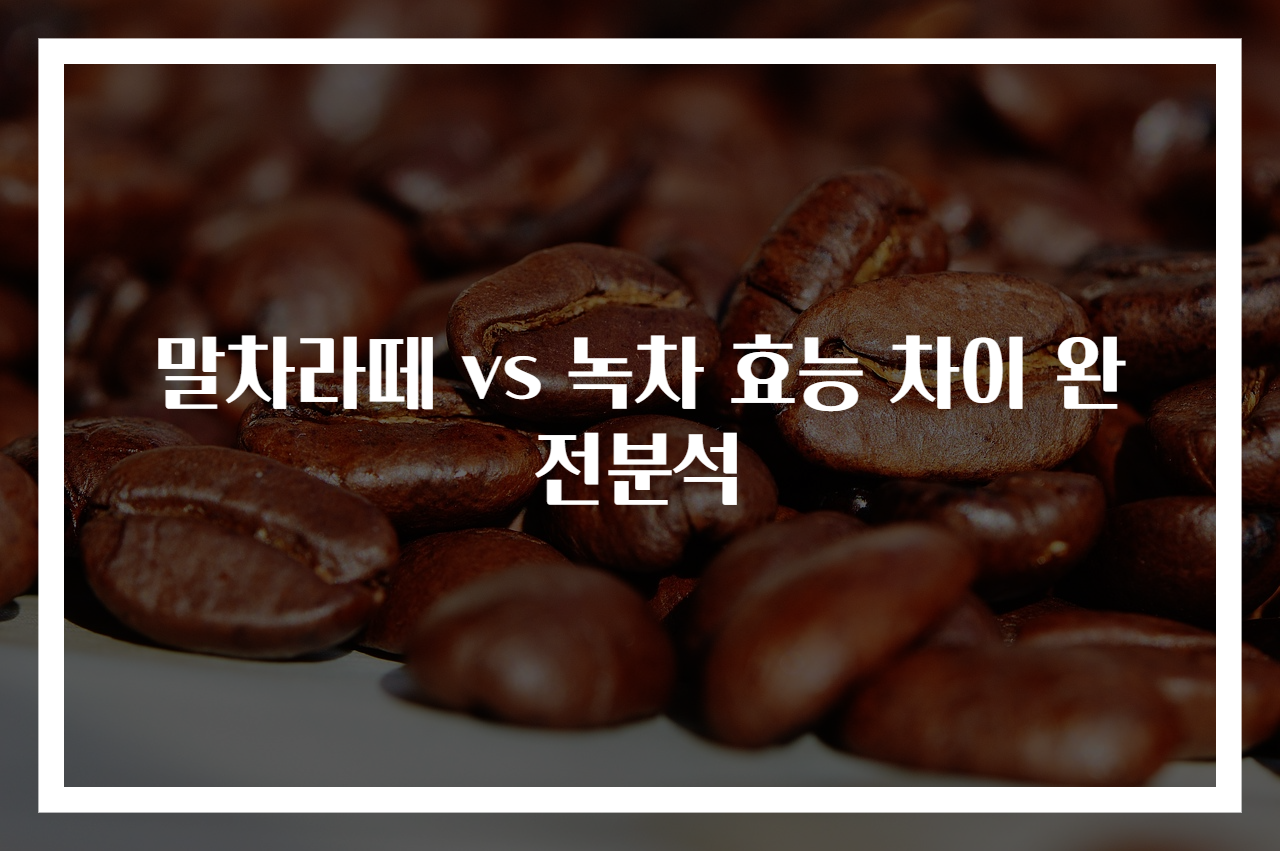 말차라떼 vs 녹차 효능 차이 완전분석