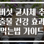 버섯 균사체 추출물 건강 효과 먹는법 가이드