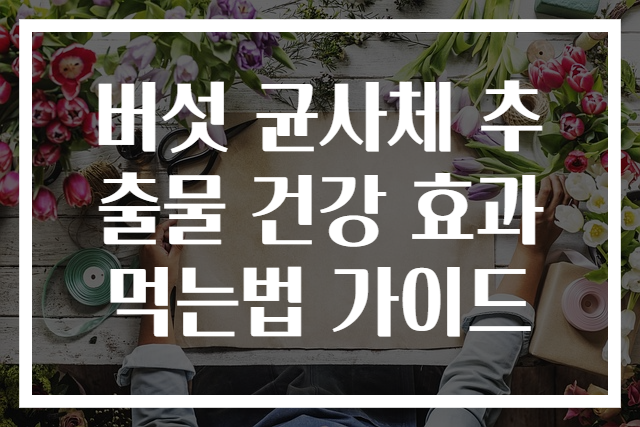버섯 균사체 추출물 건강 효과 먹는법 가이드
