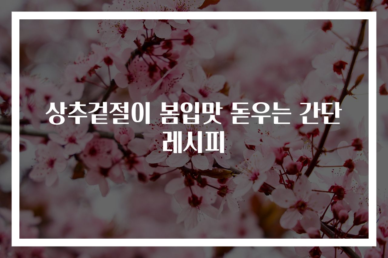 상추겉절이 봄입맛 돋우는 간단레시피