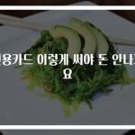 신용카드 이렇게 써야 돈 안나가요