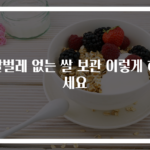 쌀벌레 없는 쌀 보관 이렇게 하세요