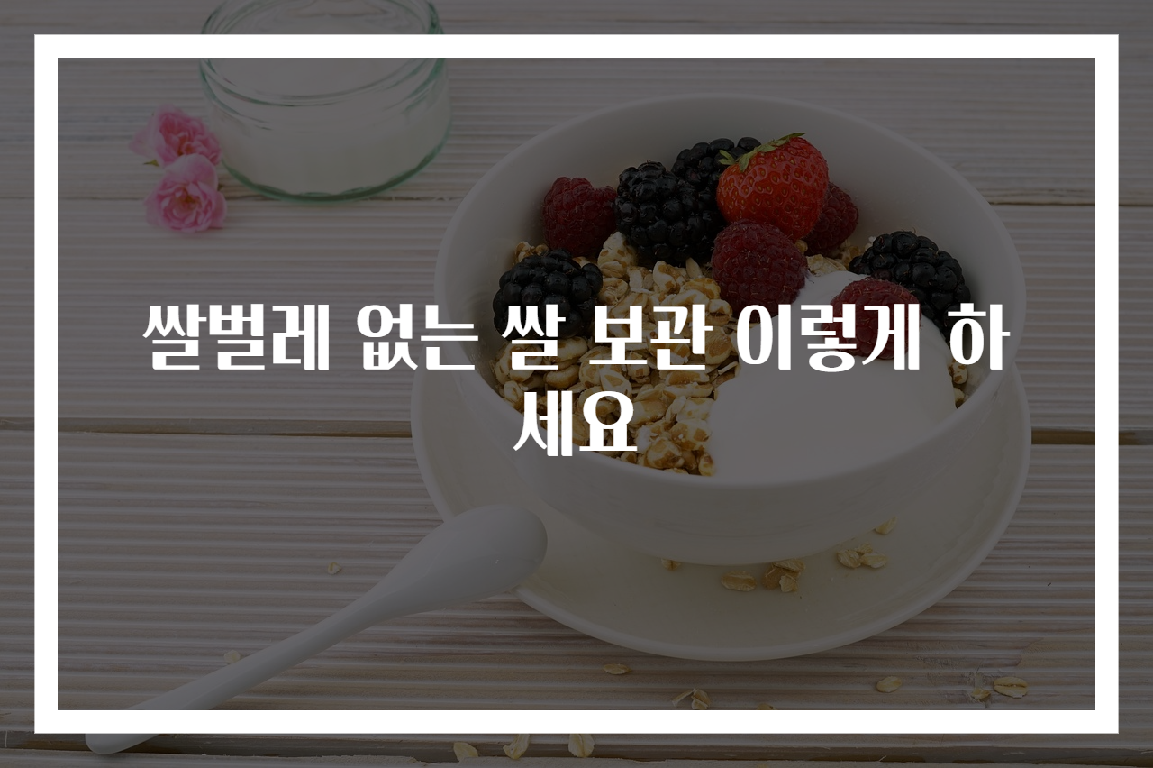 쌀벌레 없는 쌀 보관 이렇게 하세요