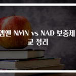 엔엠엔 NMN vs NAD 보충제 비교 정리