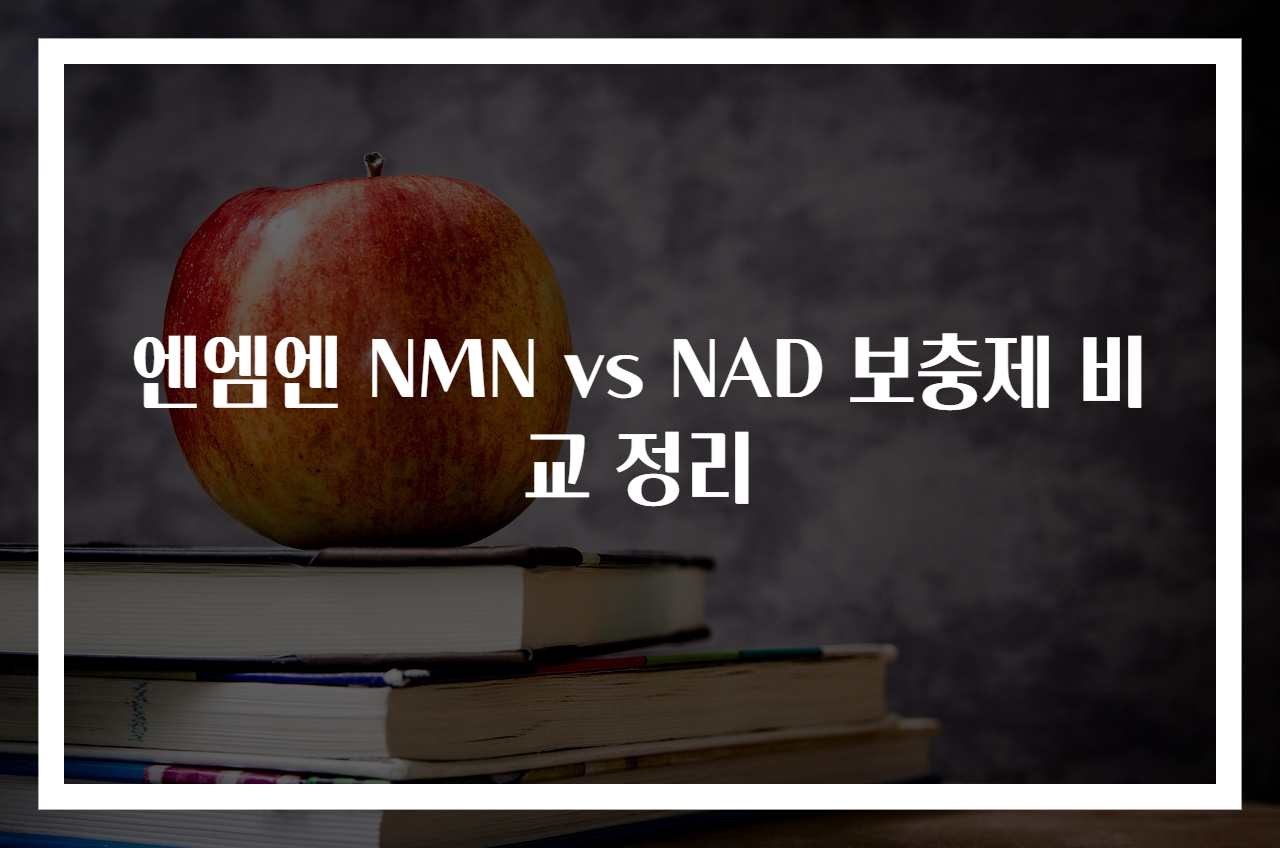 엔엠엔 NMN vs NAD 보충제 비교 정리