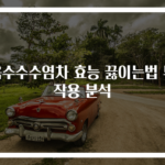 옥수수수염차 효능 끓이는법 부작용 분석