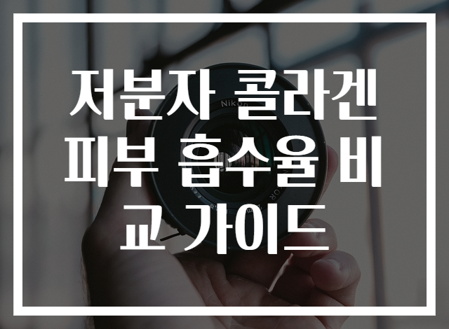 저분자 콜라겐 피부 흡수율 비교 가이드