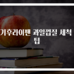 전기후라이팬 과일껍질 세척 꿀팁