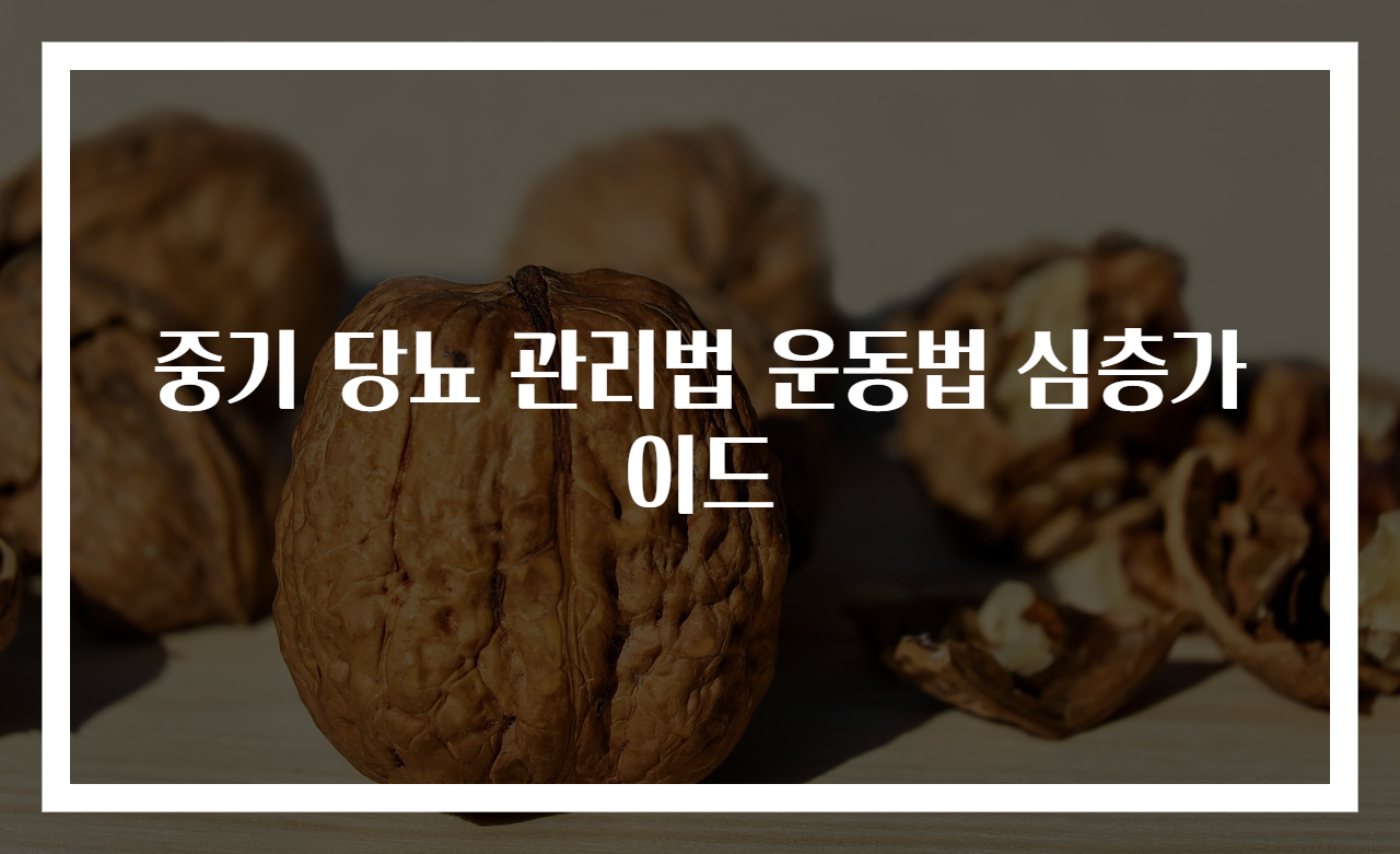 중기 당뇨 관리법 운동법 심층가이드