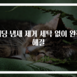 패딩 냄새 제거 세탁 없이 완전 해결