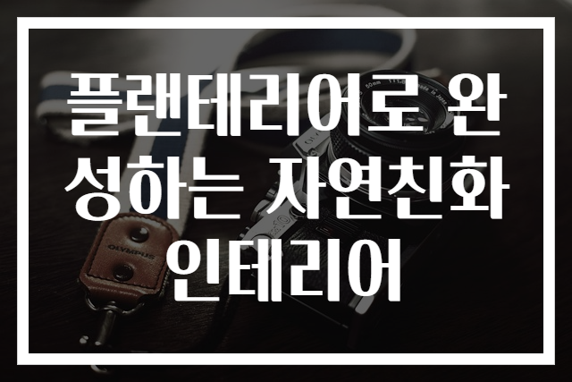 플랜테리어로 완성하는 자연친화 인테리어