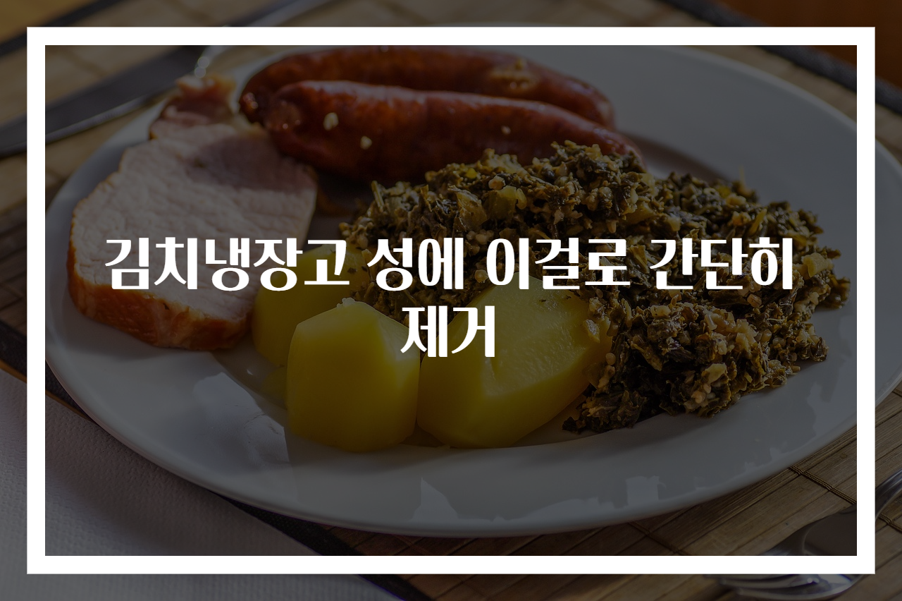 김치냉장고 성에 이걸로 간단히 제거 - 리뷰쿠