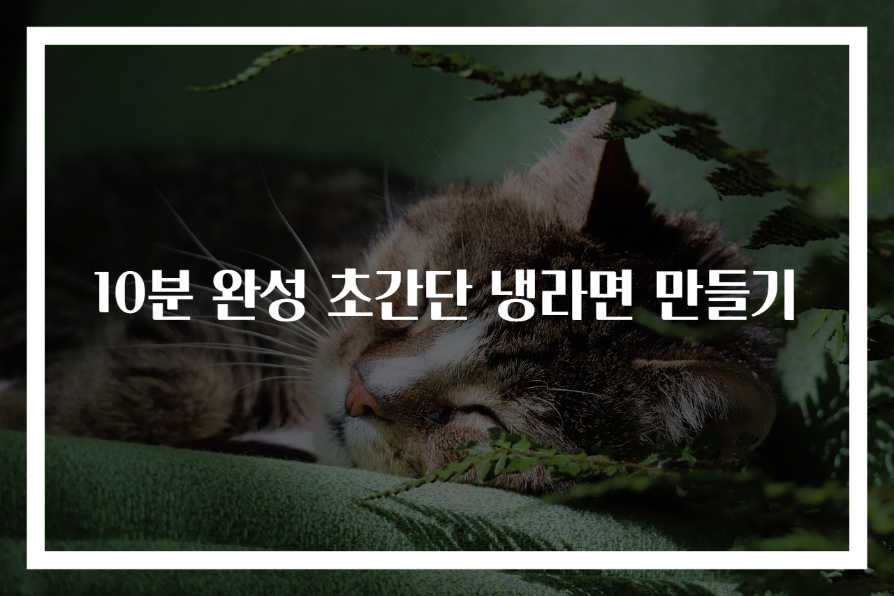 10분 완성 초간단 냉라면 만들기