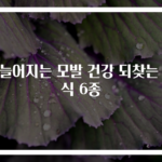가늘어지는 모발 건강 되찾는 음식 6종