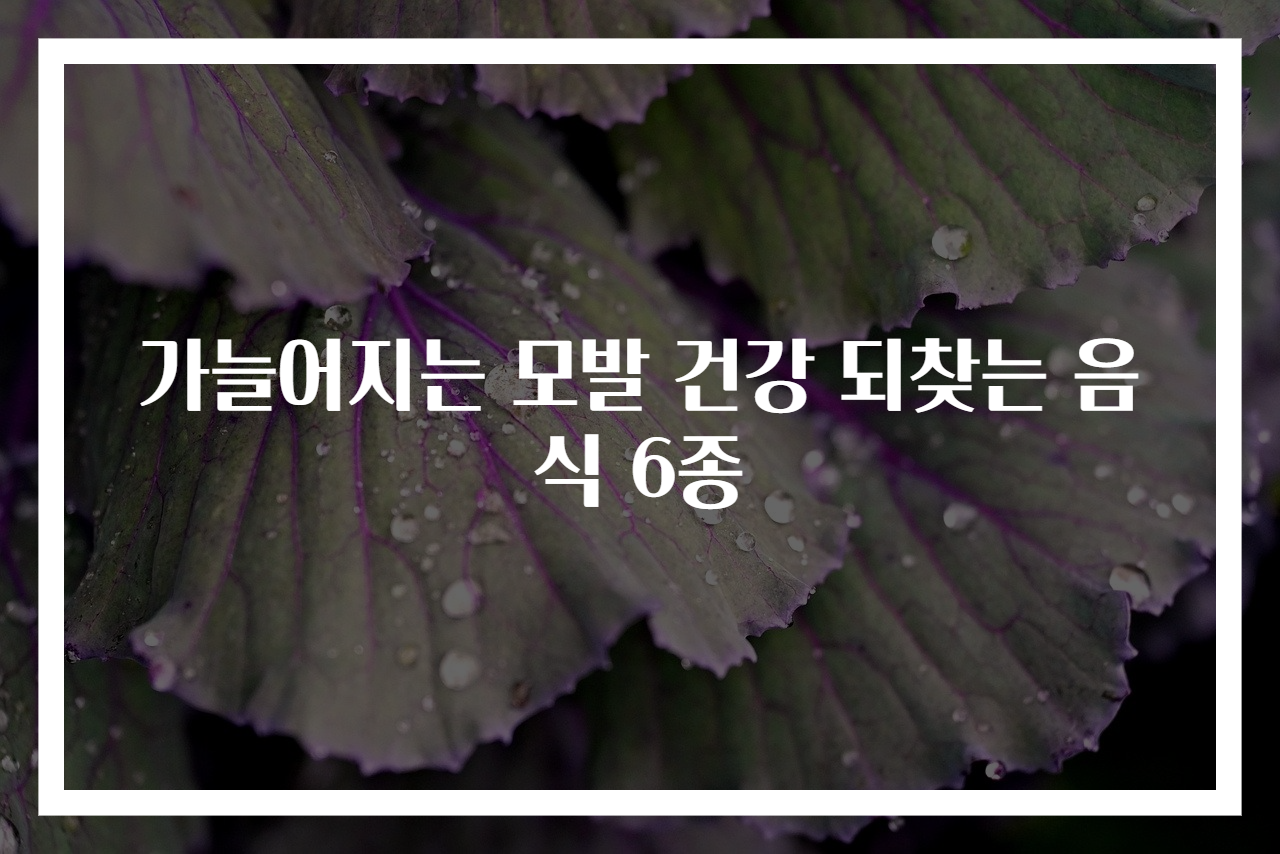 가늘어지는 모발 건강 되찾는 음식 6종