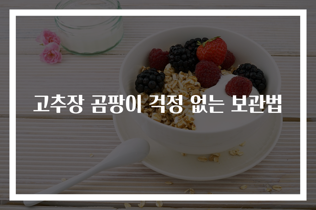 고추장 곰팡이 걱정 없는 보관법