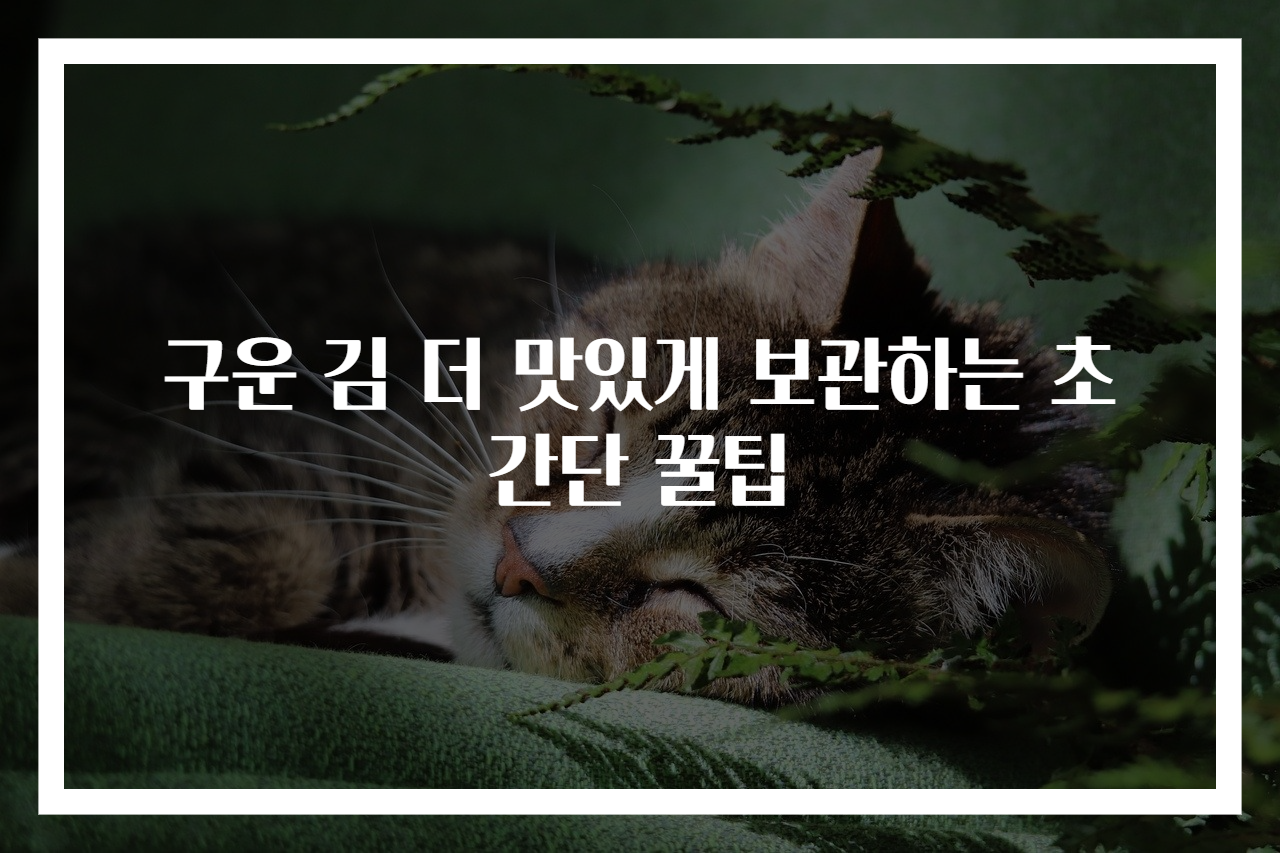 구운 김 더 맛있게 보관하는 초간단 꿀팁
