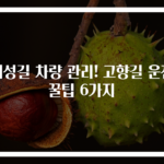 귀성길 차량 관리! 고향길 운전 꿀팁 6가지