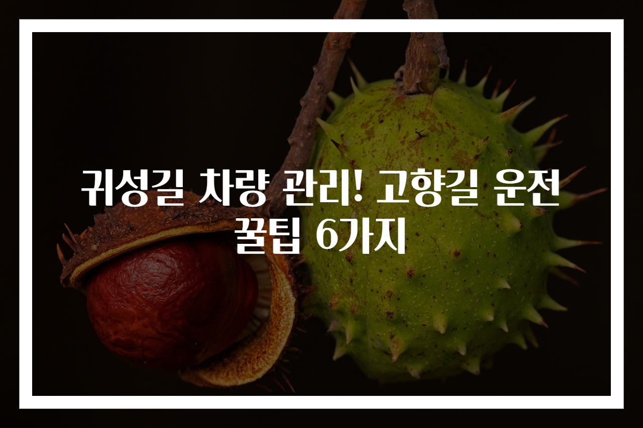 귀성길 차량 관리! 고향길 운전 꿀팁 6가지