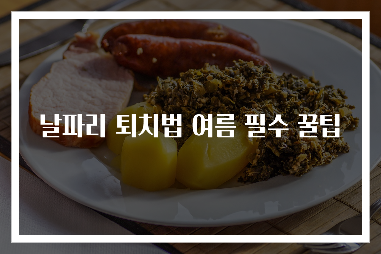 날파리 퇴치법 여름 필수 꿀팁
