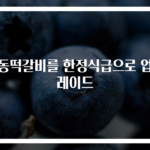 냉동떡갈비를 한정식급으로 업그레이드