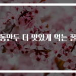 냉동만두 더 맛있게 먹는 꿀팁