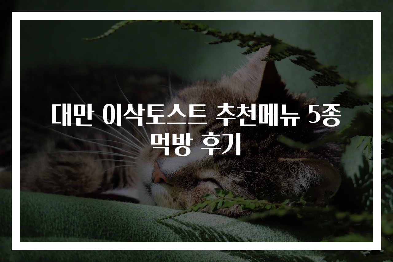 대만 이삭토스트 추천메뉴 5종 먹방 후기