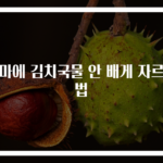 도마에 김치국물 안 배게 자르는 법