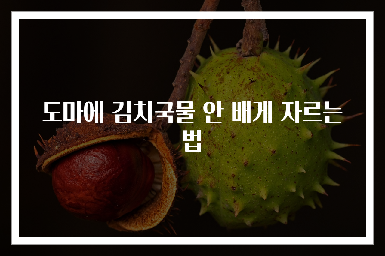 도마에 김치국물 안 배게 자르는 법