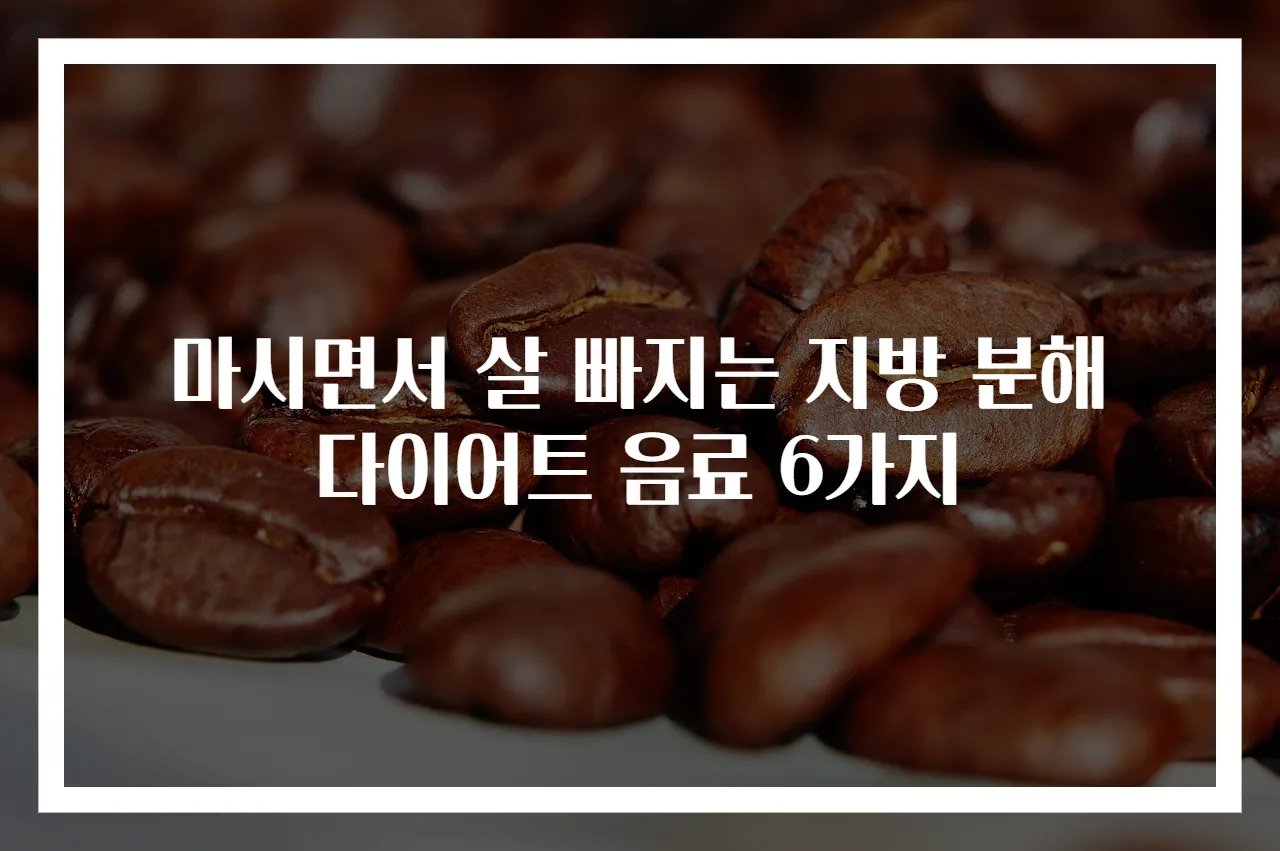 마시면서 살 빠지는 지방 분해 다이어트 음료 6가지