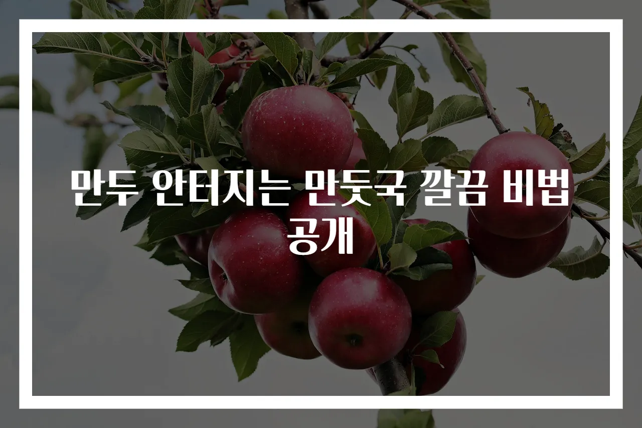 만두 안터지는 만둣국 깔끔 비법 공개