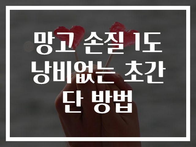 망고 손질 1도 낭비없는 초간단 방법