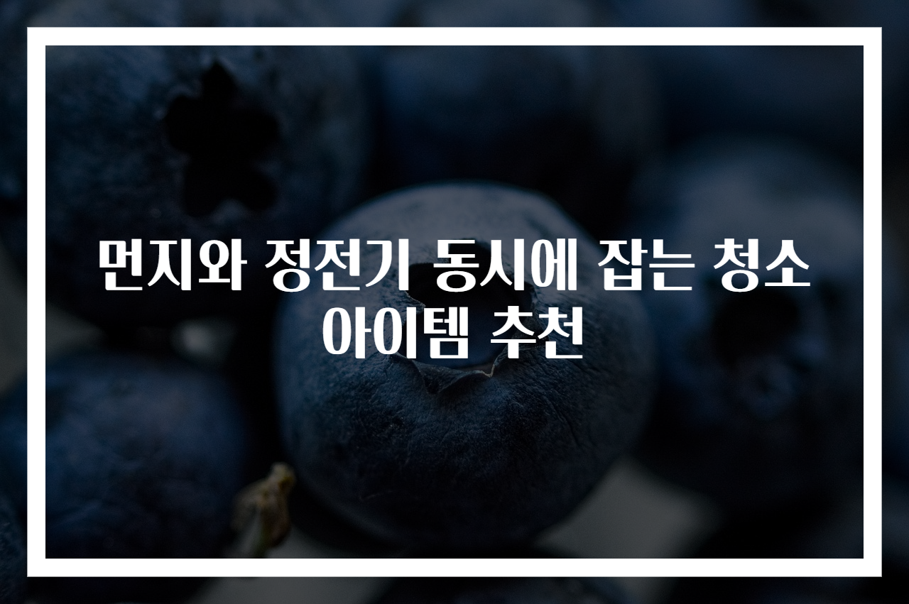 먼지와 정전기 동시에 잡는 청소 아이템 추천