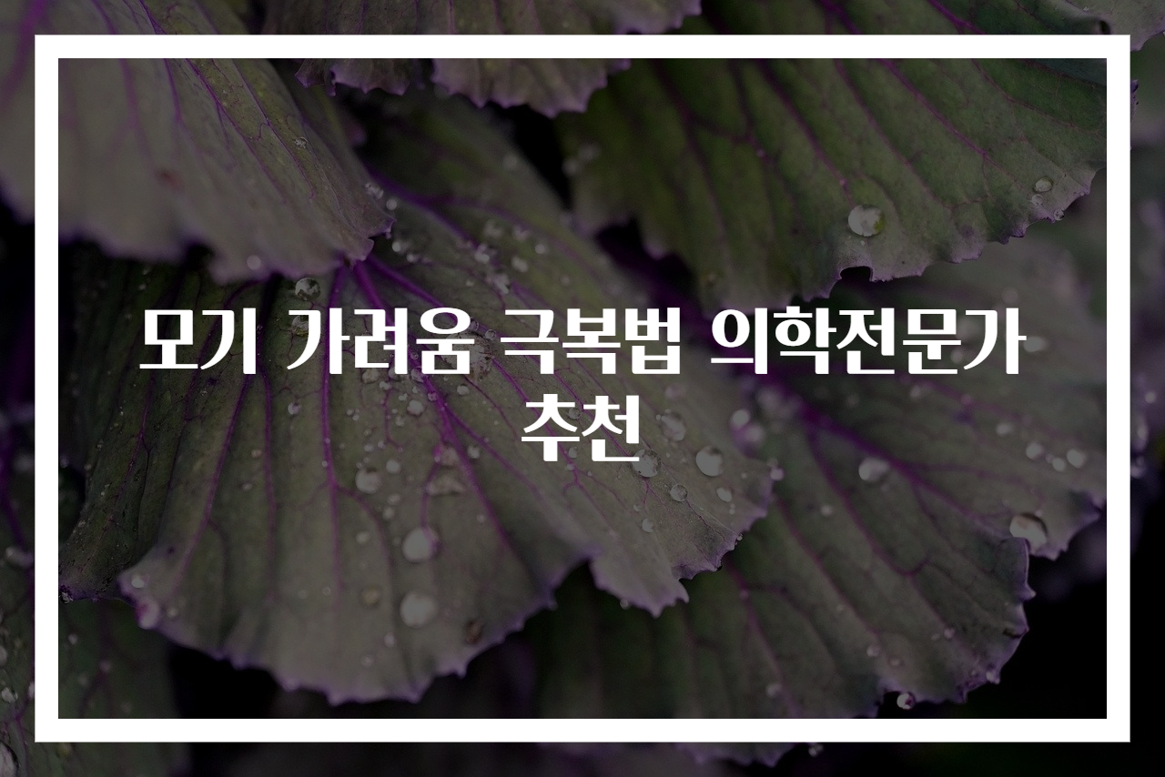 모기 가려움 극복법 의학전문가 추천