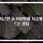 미지근한 술 10분만에 차갑게 만드는 꿀팁