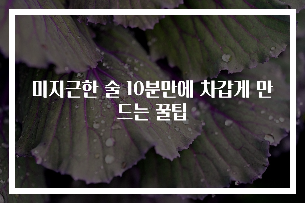 미지근한 술 10분만에 차갑게 만드는 꿀팁