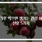 밀가루 먹으면 생기는 건강 이상 신호 5가지