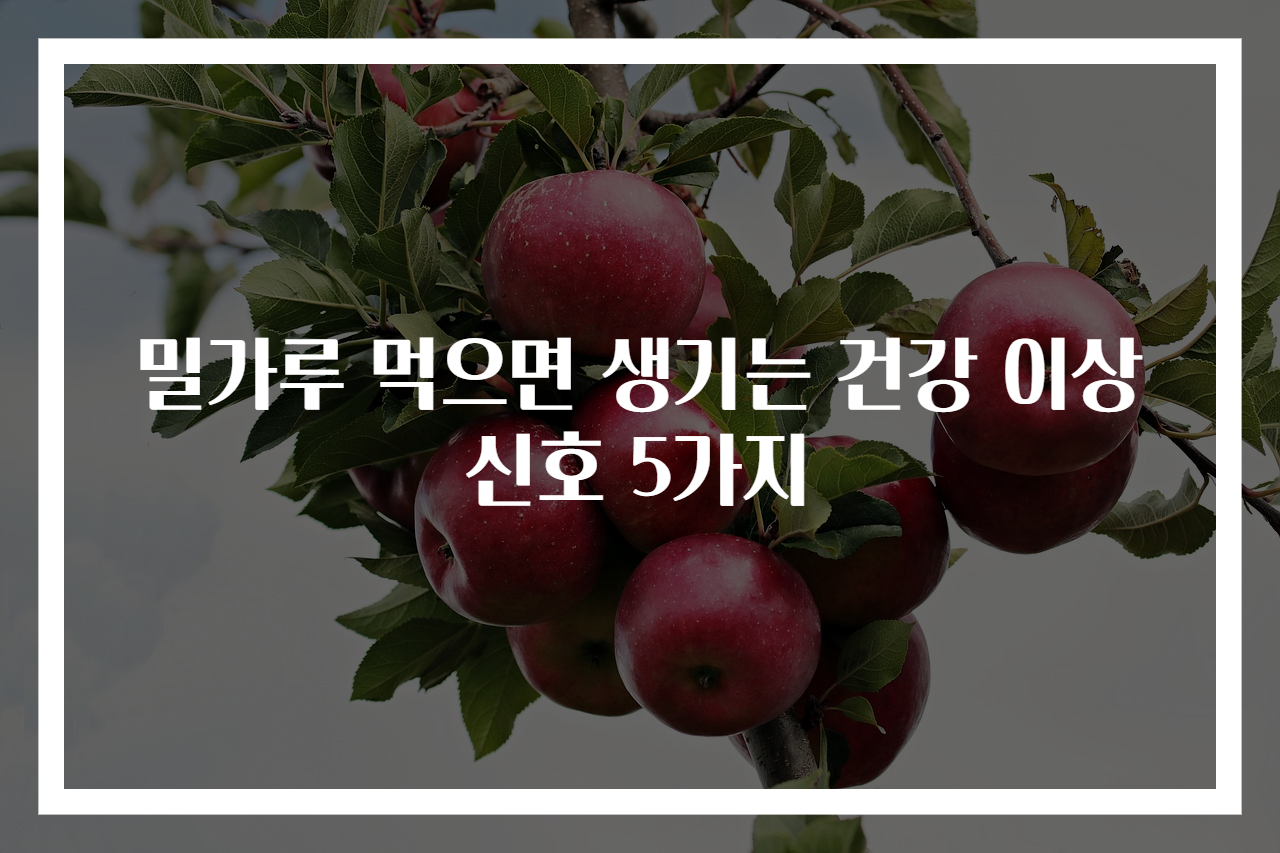 밀가루 먹으면 생기는 건강 이상 신호 5가지
