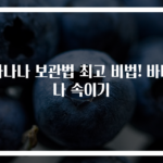바나나 보관법 최고 비법! 바나나 속이기