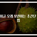 베이글 오래 보관하는 초간단 방법