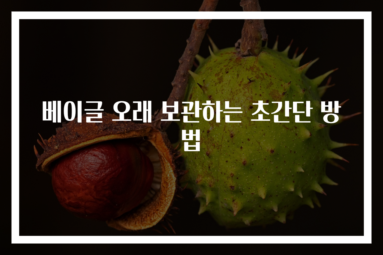 베이글 오래 보관하는 초간단 방법