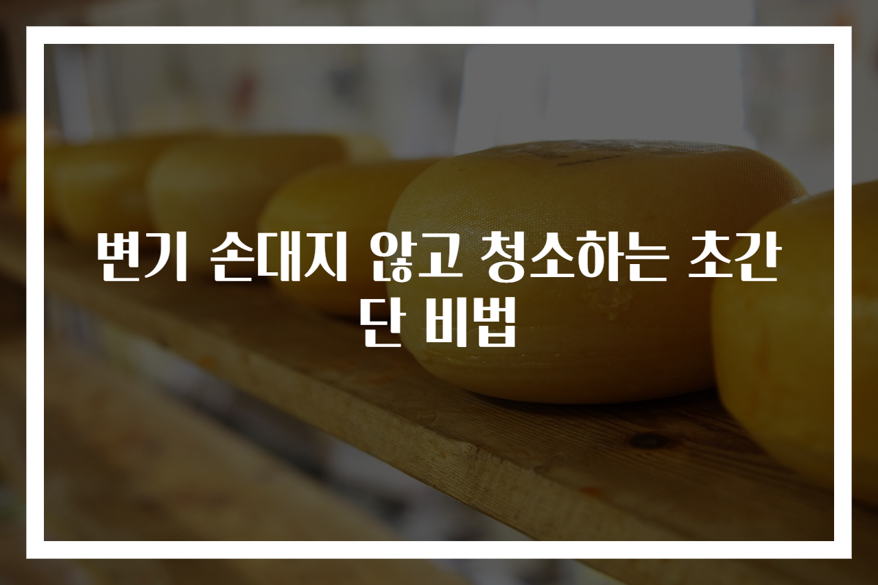 변기 손대지 않고 청소하는 초간단 비법